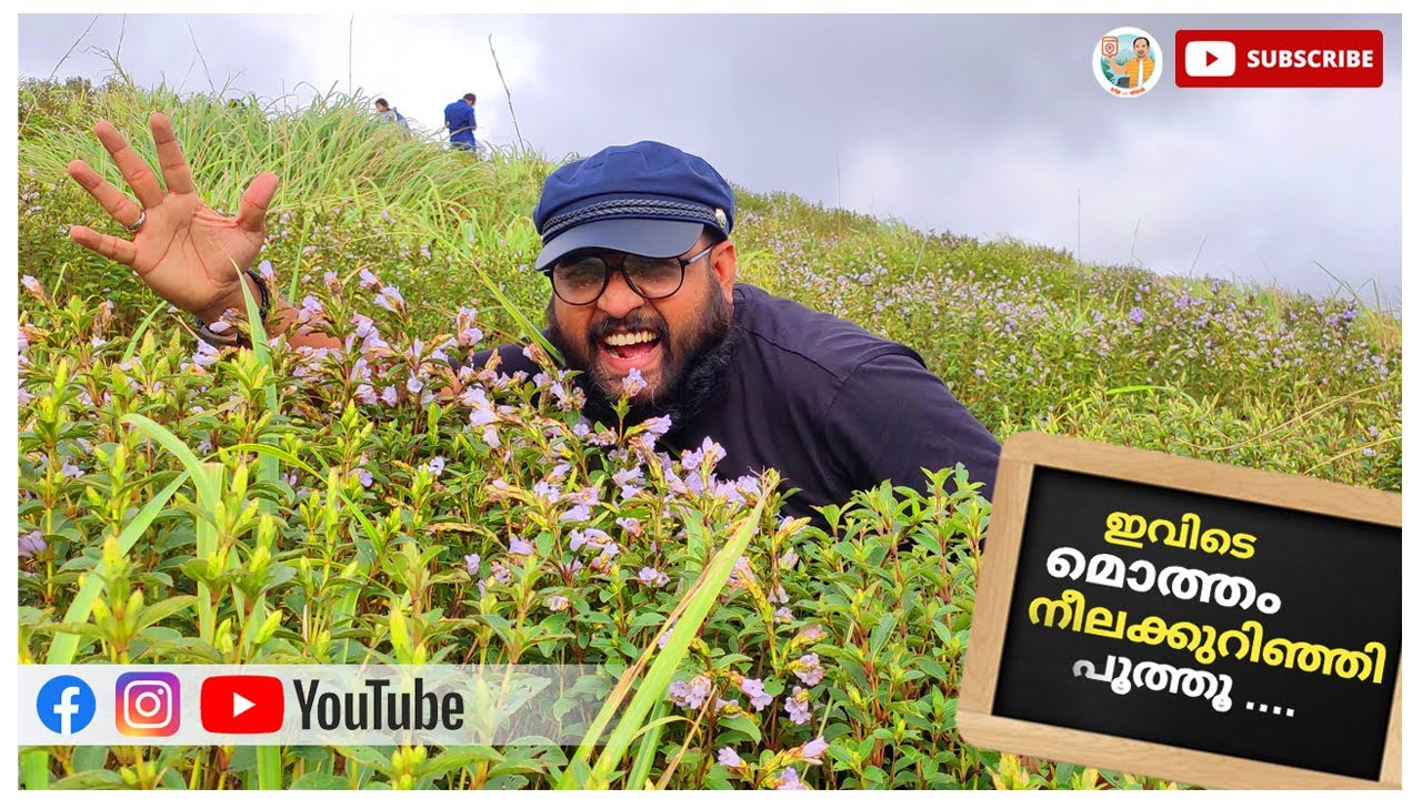 മാമല കണ്ടം വഴി മൂന്നാർ യാത്ര നീലകുറിഞ്ഞി കാണാൻ