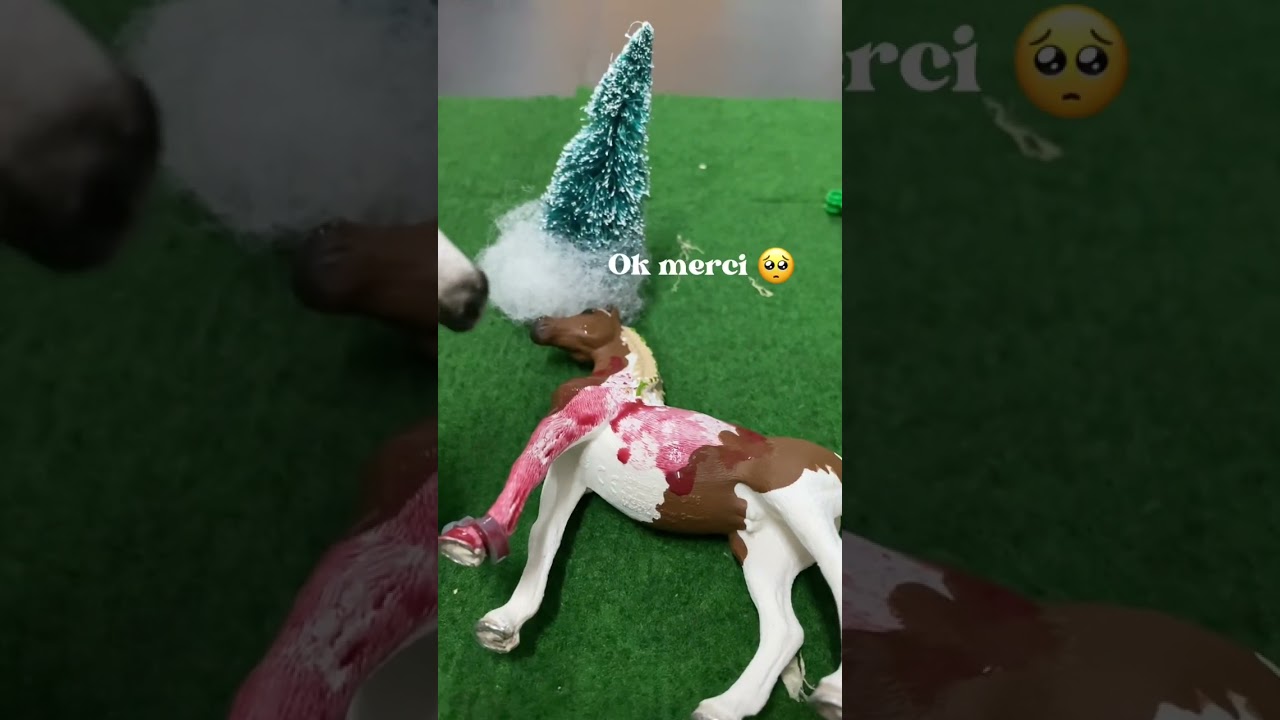 Vidéo musique Schleich