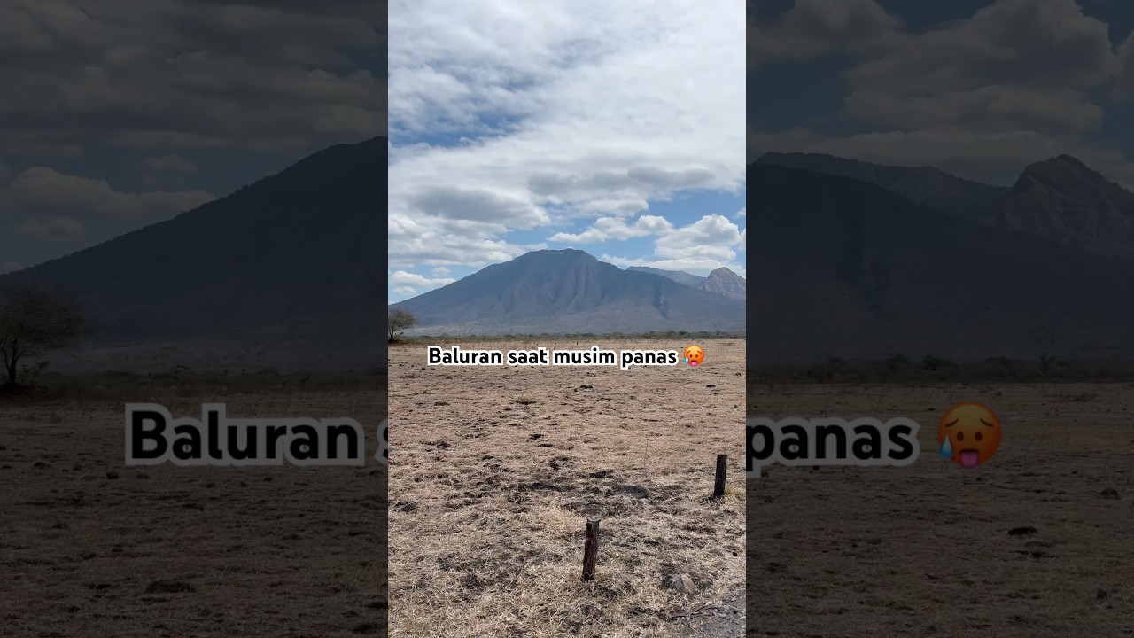 Afrika van java
