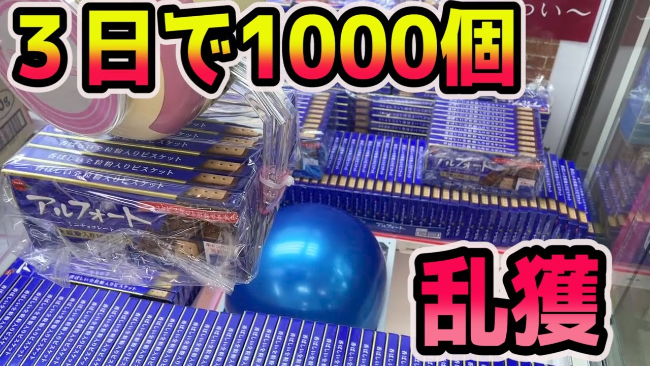 3日で1000個のアルフォートを乱獲された設定