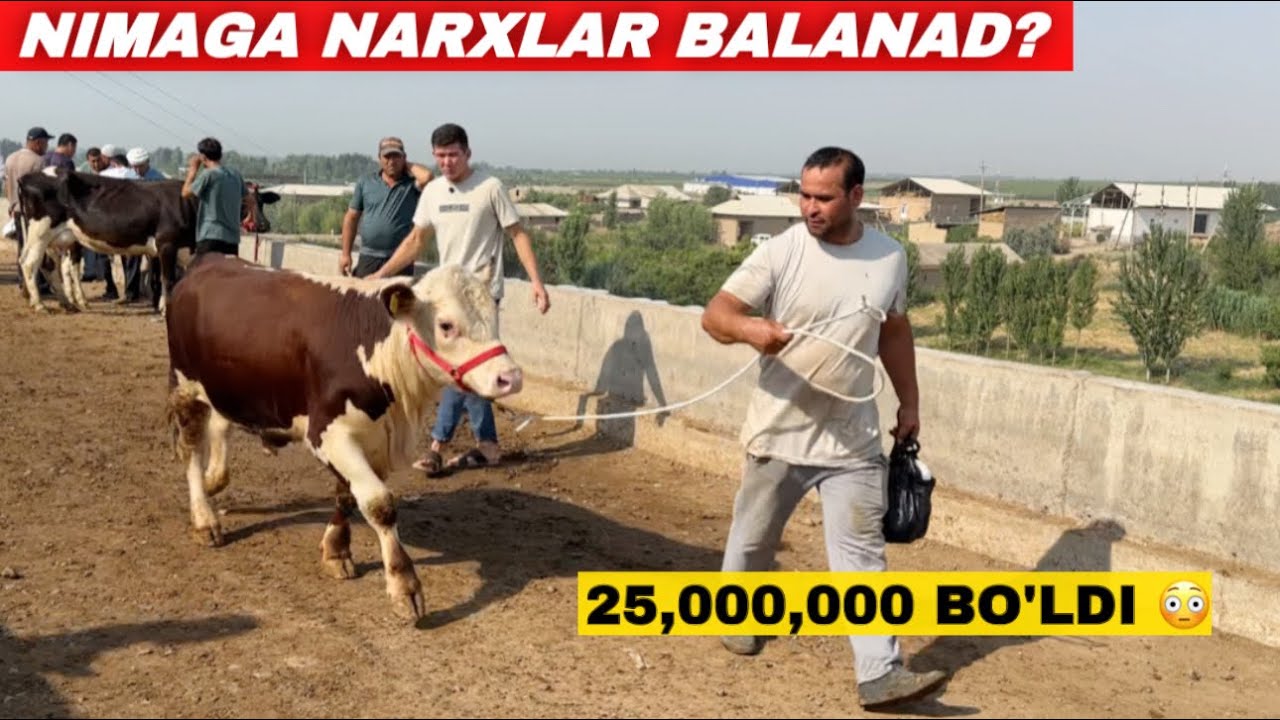 NARXLAR KESKIN KO&rsquo;TARILIB KETDIMI? SOTILGAN MOL NARXLARI
