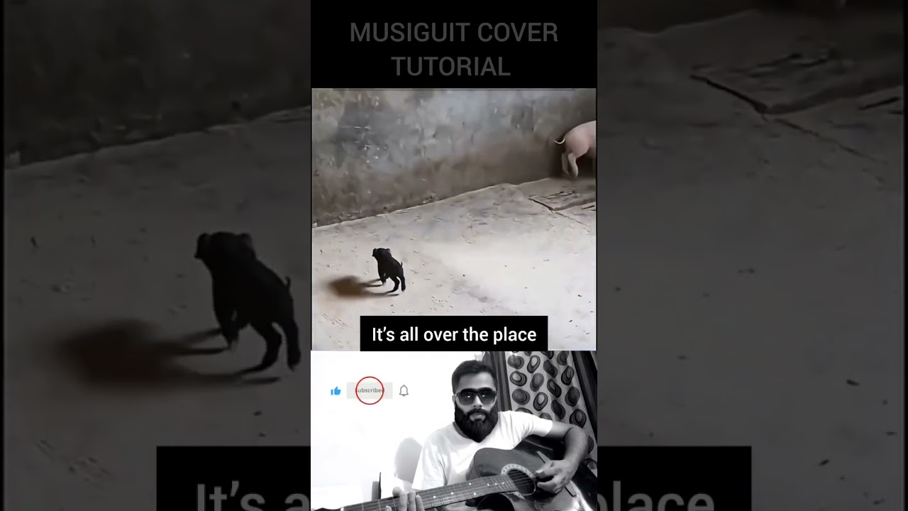 He just looking to have some fun💔. #tutorial #guitar #shorts #memes