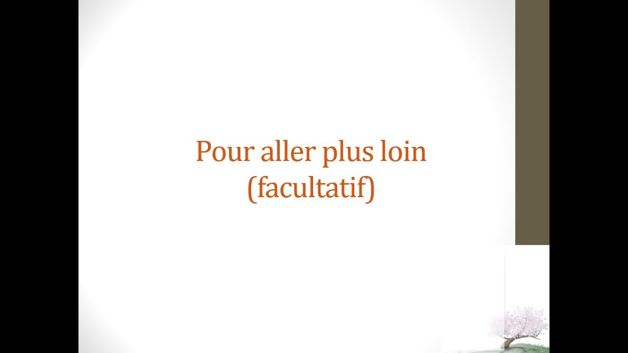 CSS   Blocs Flex