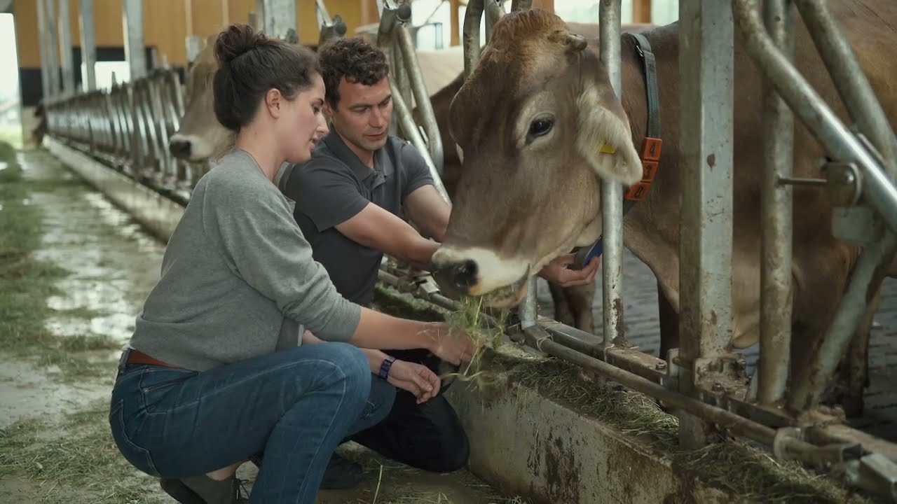 Germany's Digital Experimental Fields: DigiMilch