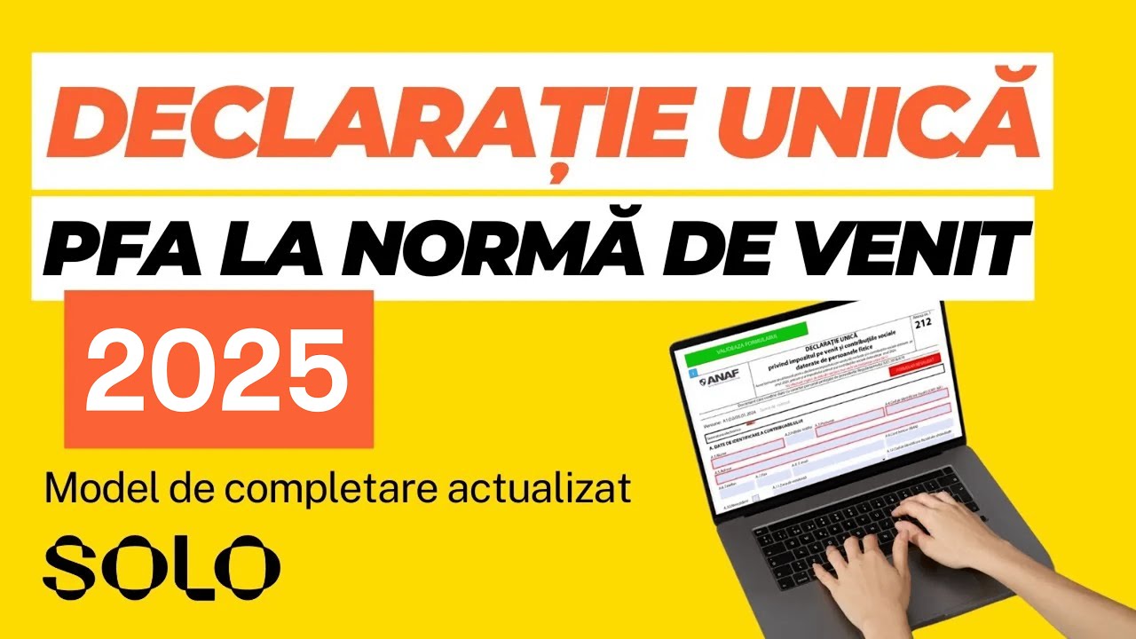 Model completare Declarație Unică 2025 pentru PFA la Normă de Venit