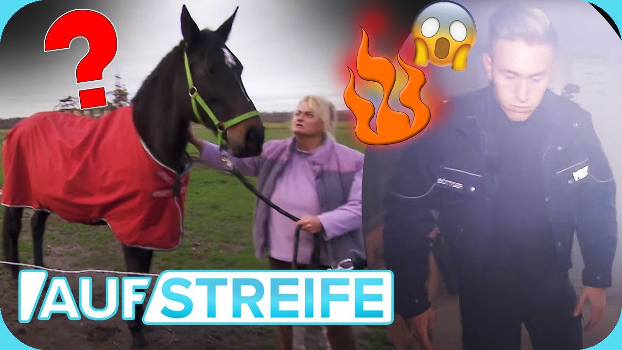 CHAOS auf dem Hof: Erst brennt's 🔥,​ dann ist das Pferd weg! 🐴 ​| Auf Streife | SAT.1