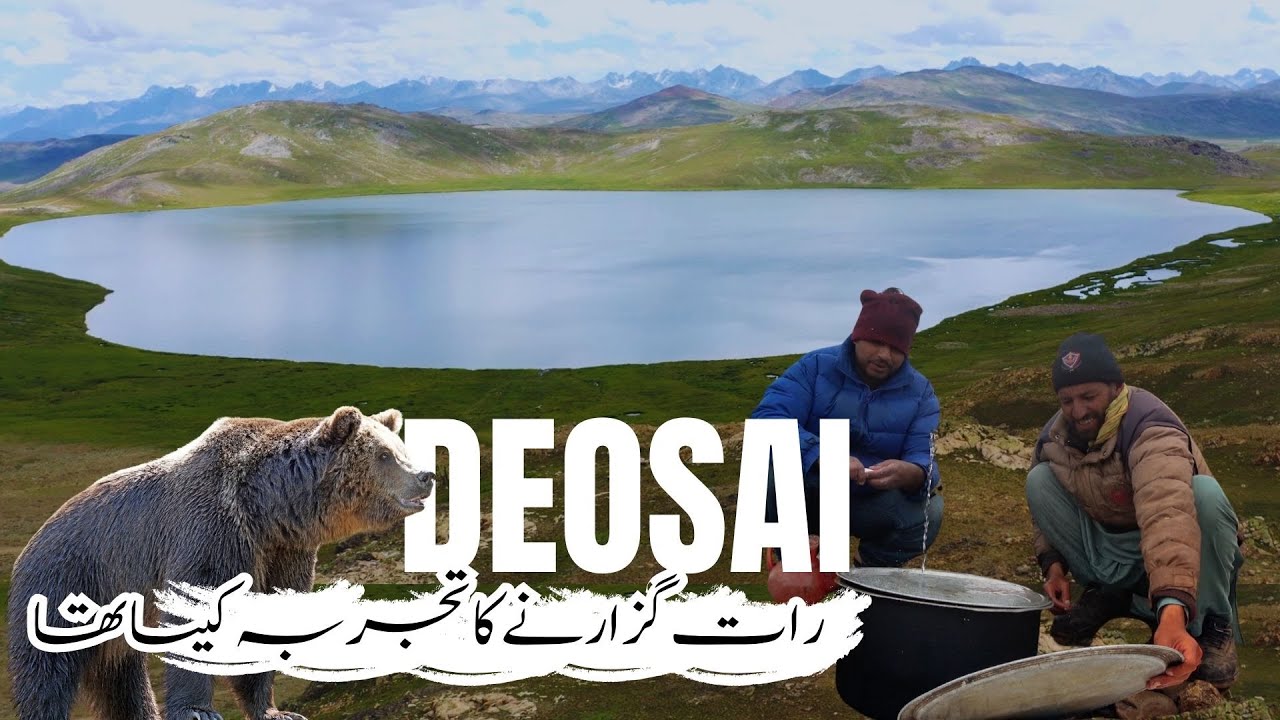 Night In Deosai | Roof of the World | A heaven on Earth