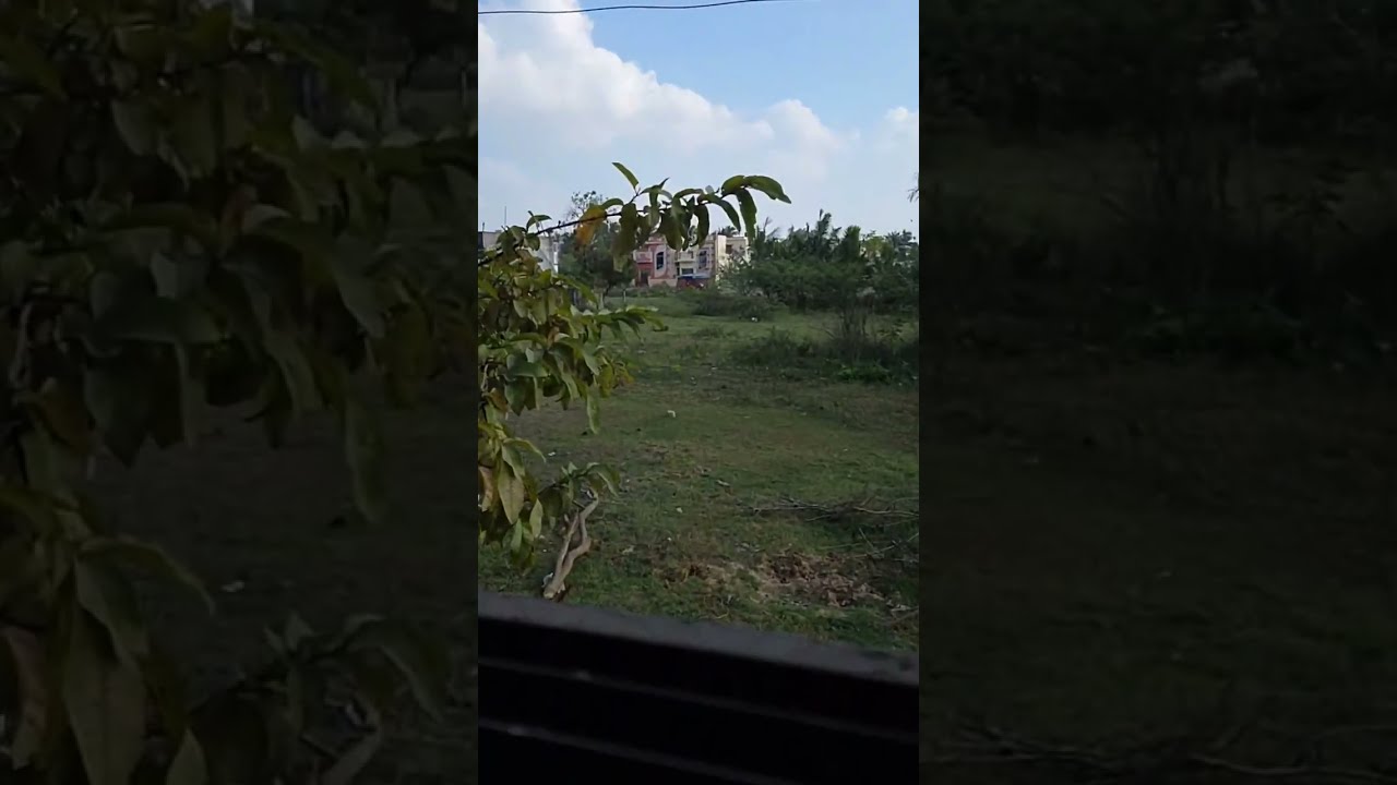 Peaceful Evening Village side View Calmand Peaceful Live Streaming