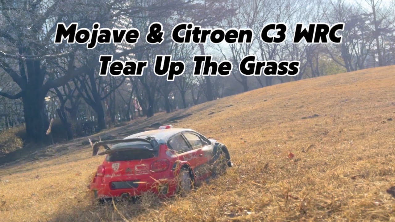 Arrma Mojave & MJX 7303 Citroen C3 WRC Tear Up The Grass