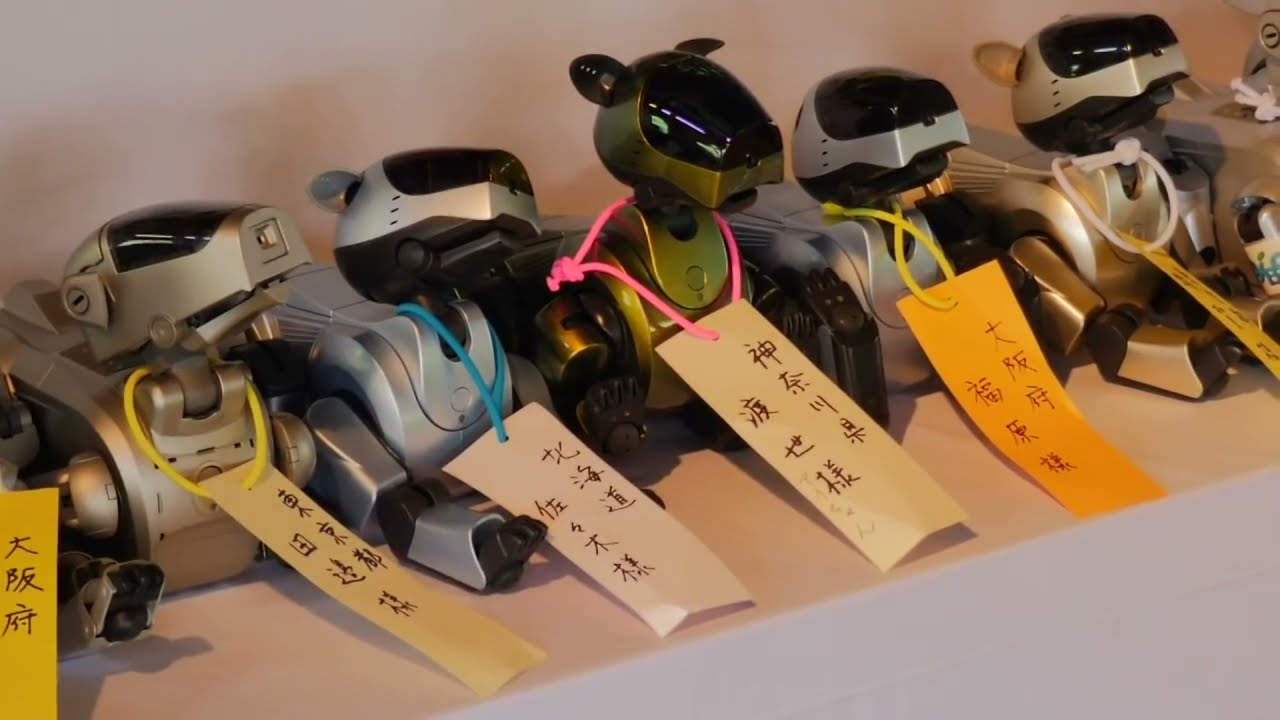 Robot Dog Funeral