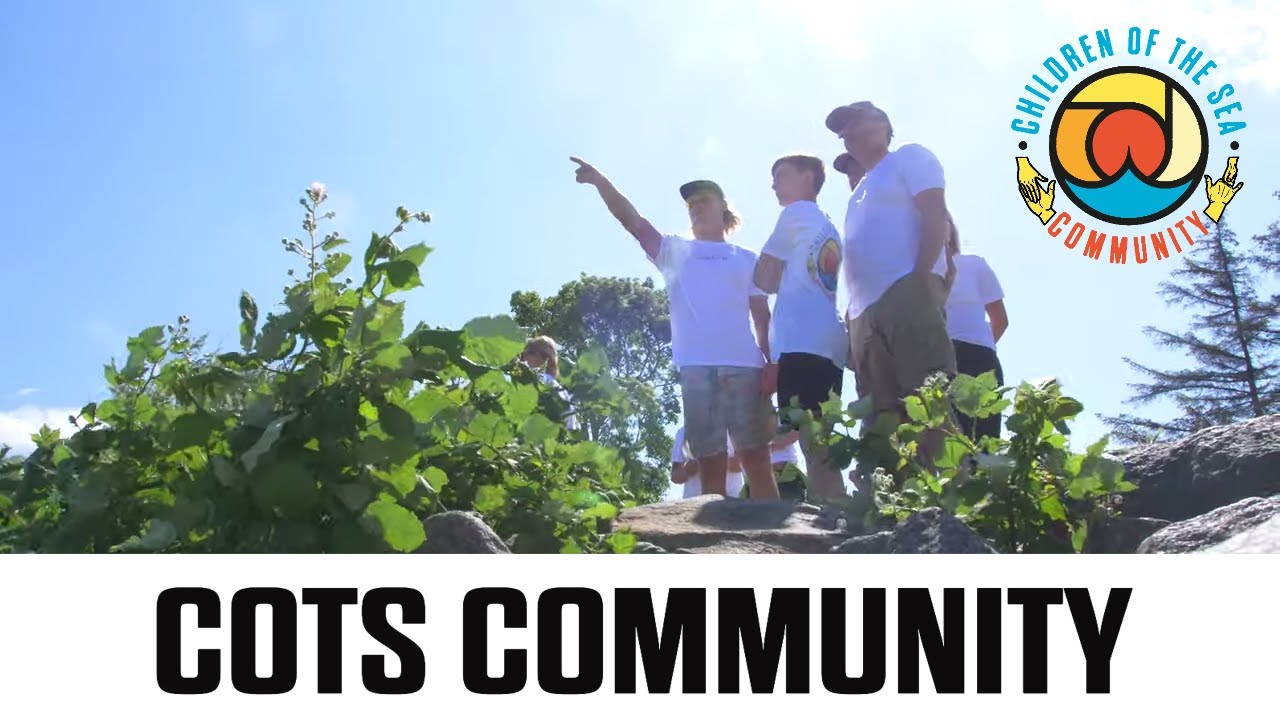 1. COTS COMMUNITY AFTERMOVIE - FEHMARN 2020
