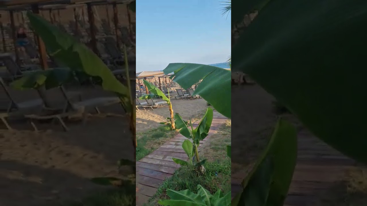 Süral Saray Resort Colakli Türkei Teil 2