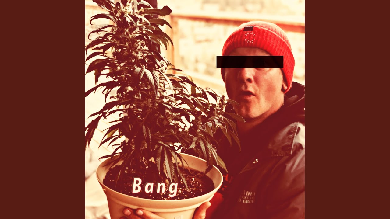 Bang