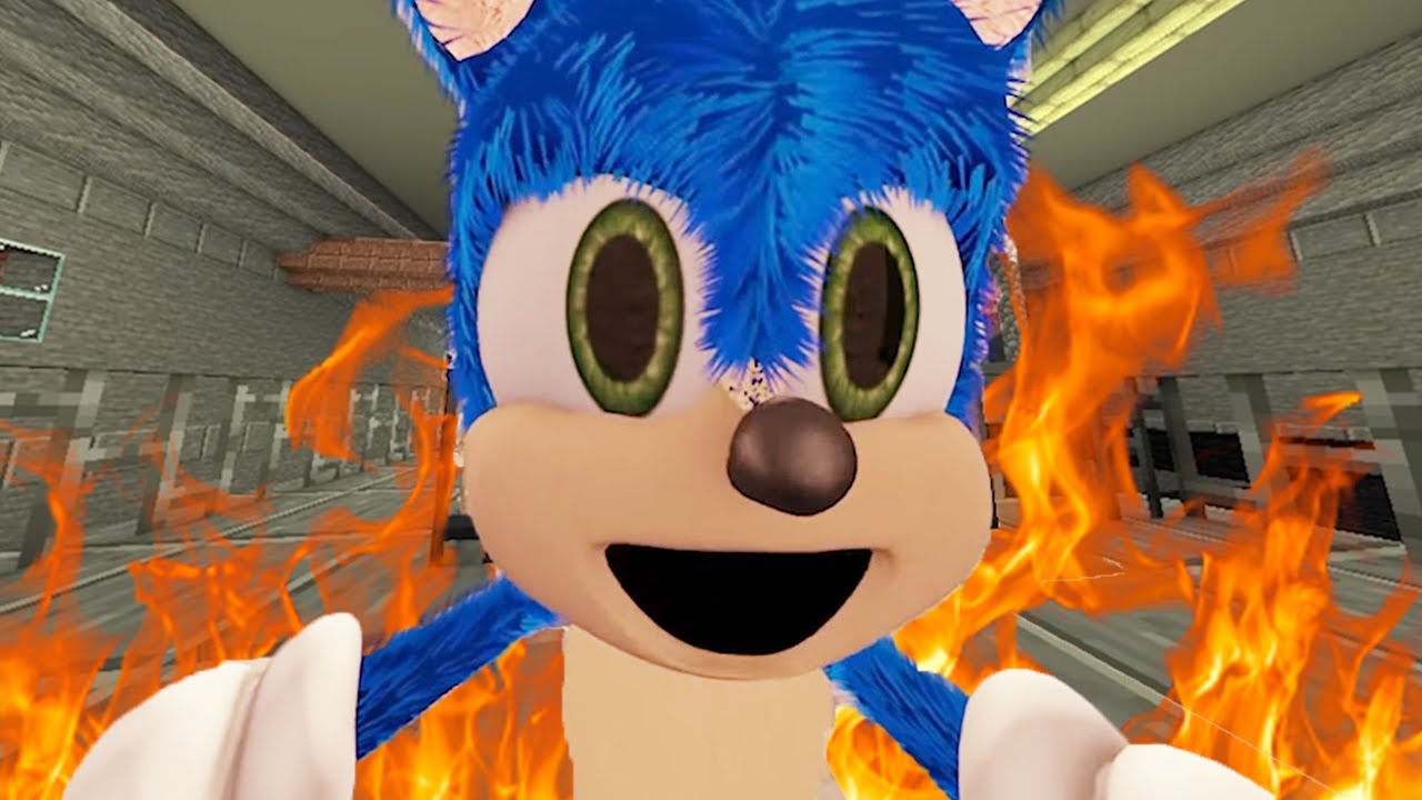 SONIC BULLIES T.S.P... (Very Sad) | WildCraft Piggy React