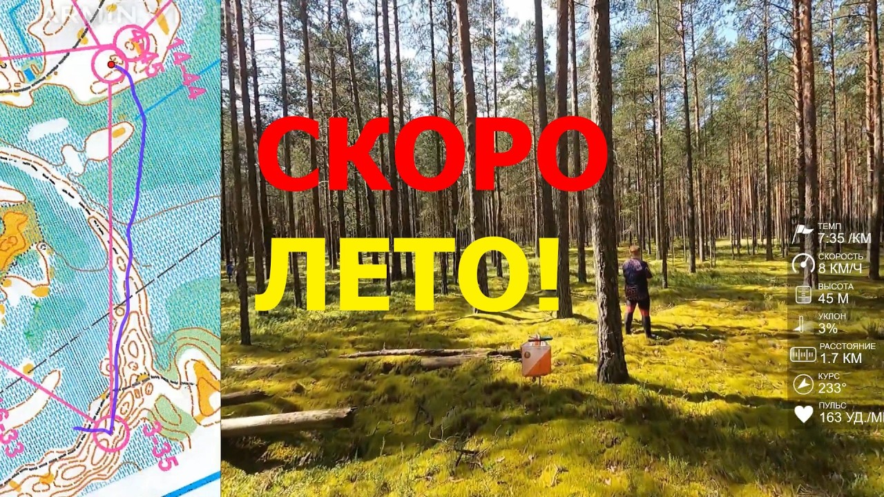 Спортивное ориентирование (headcam orienteering) - Фестиваль Активного отдыха 2025, классика - 02.08