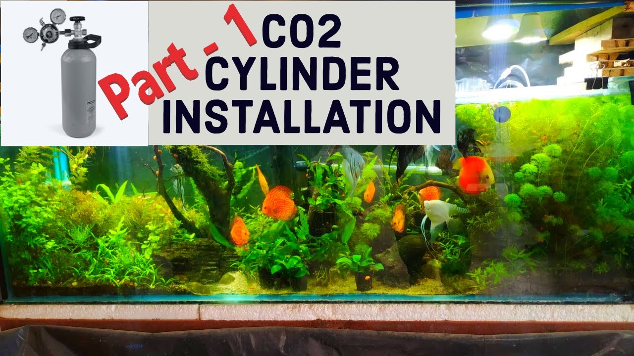 How To Setup CO2 For Planted Aquarium | CO2 Cylinder Installation In Planted Tank | CO2 Installation