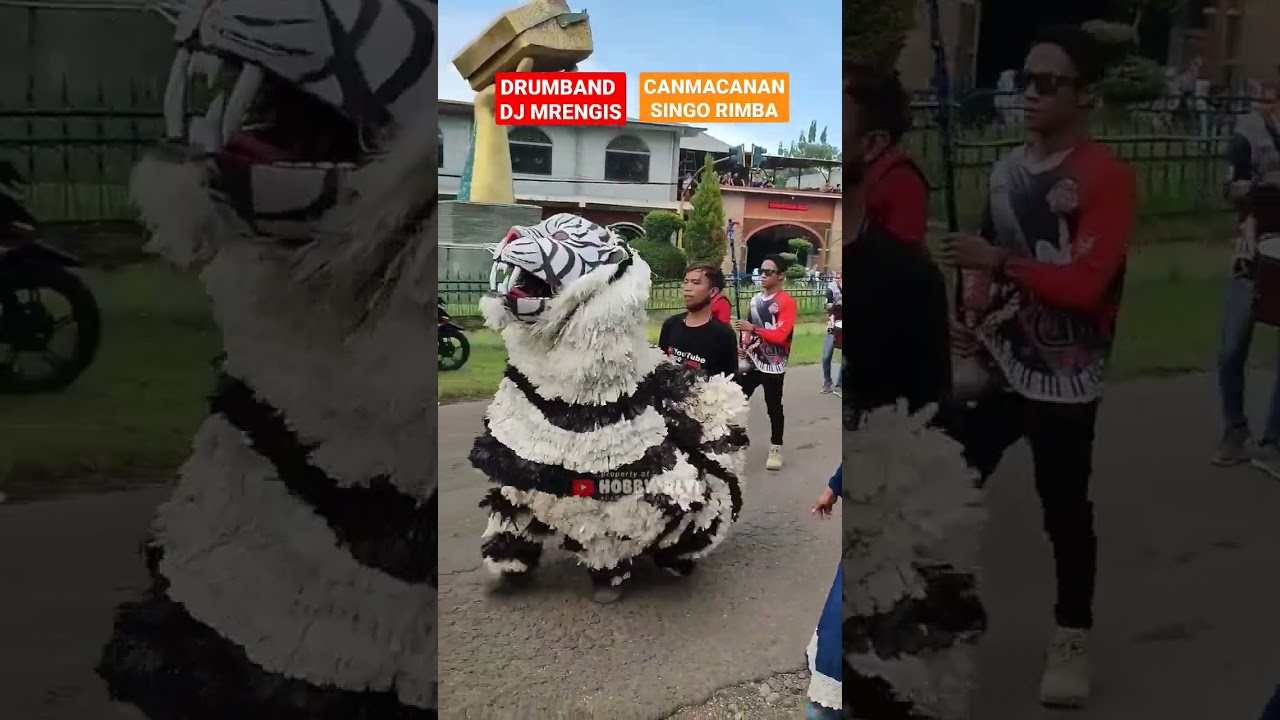 Drumband DJ MRENGIS dan canmacanan SINGO RIMBA