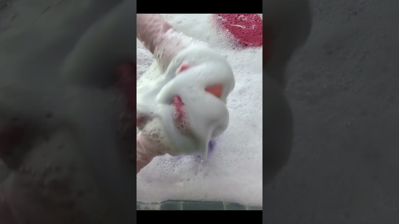 Unicorn 🦄 Combo w/ Pink 🩷 Sudsy Squeezes #spongesqueezing #spongeasmr #sudsy #asmr 