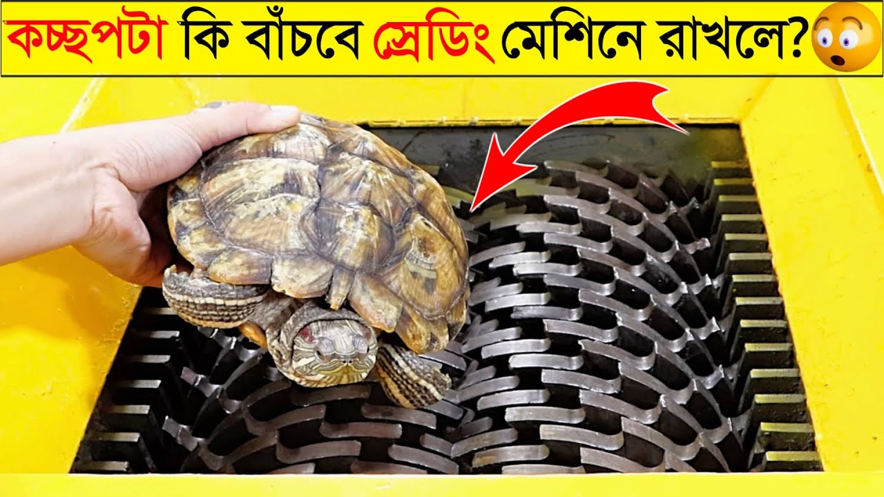 স্রেডিং মেশিন VS কচ্ছপ😱| এমনই কিছু এক্সপেরিমেন্ট দেখে আপনারা অবাক হয়ে যাবেন | Amazing Experiments