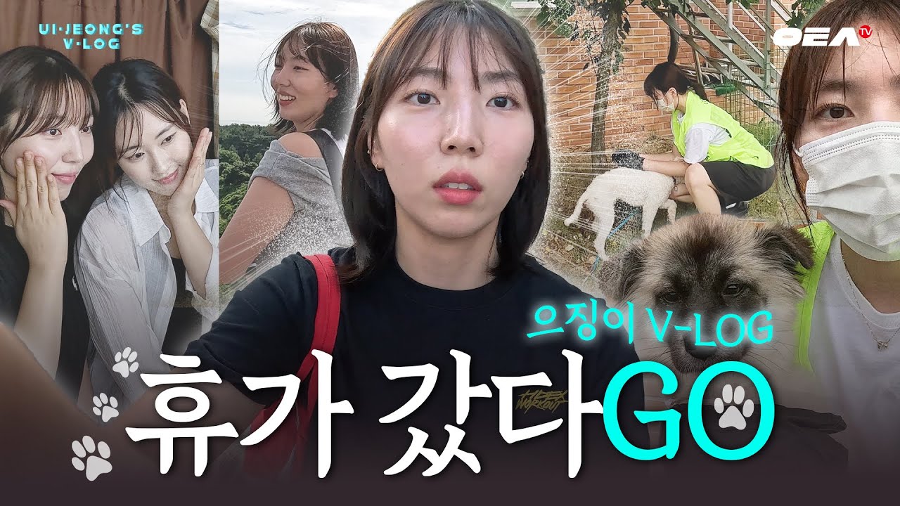 [알코더] 멍객전도된 으징이 브이로그🐾 휴가 갔다GO!! | 의정이의 휴식일 브이로그📸