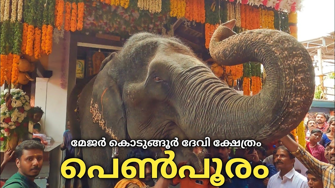 ചരിത്രത്തിൽ ആദ്യമായി  പെൺ പൂരം |Pidiyana pooram| Major Kodungoor Devi Temple 4/4/2023