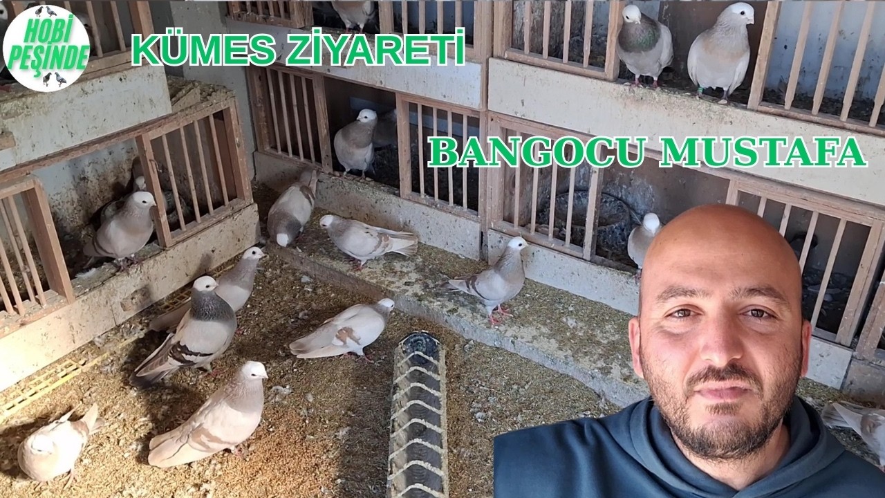 KÜMES ZİYARETİ BANGOCU MUSTAFA