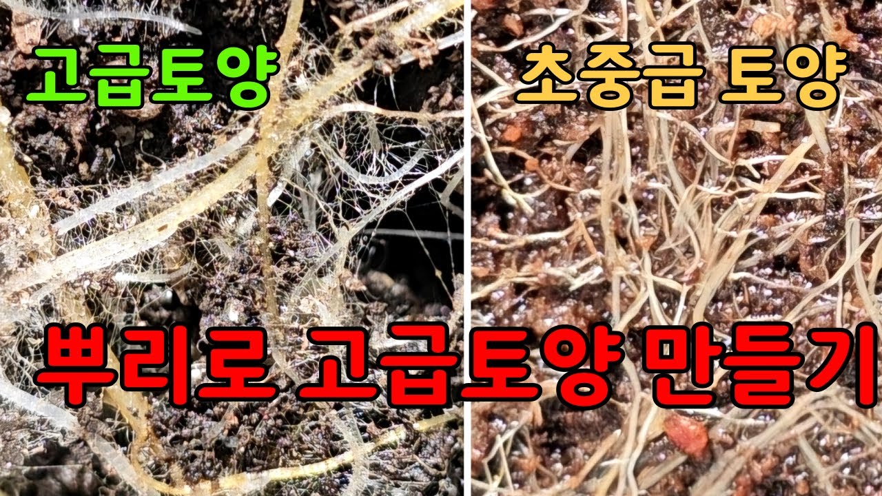 농약 비료 대신 생명 7부 : 식물 뿌리로 고급 토양 만들기 [나무와 풀과 농작물을 함께 재배하기]