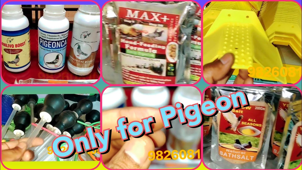Pigeon Accessories or All Medicines Available only for Pigeon