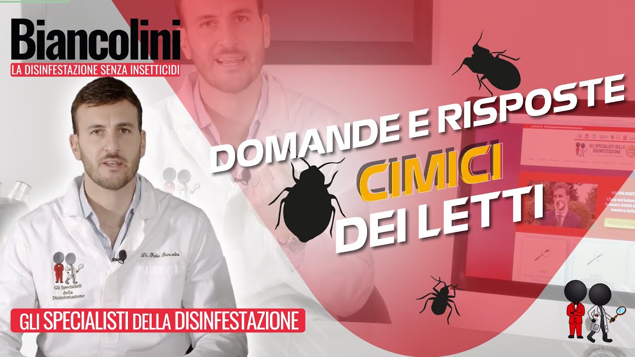 ❓Domande e risposte sulle cimici dei letti❓