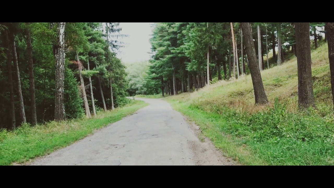 . Моя жизнь