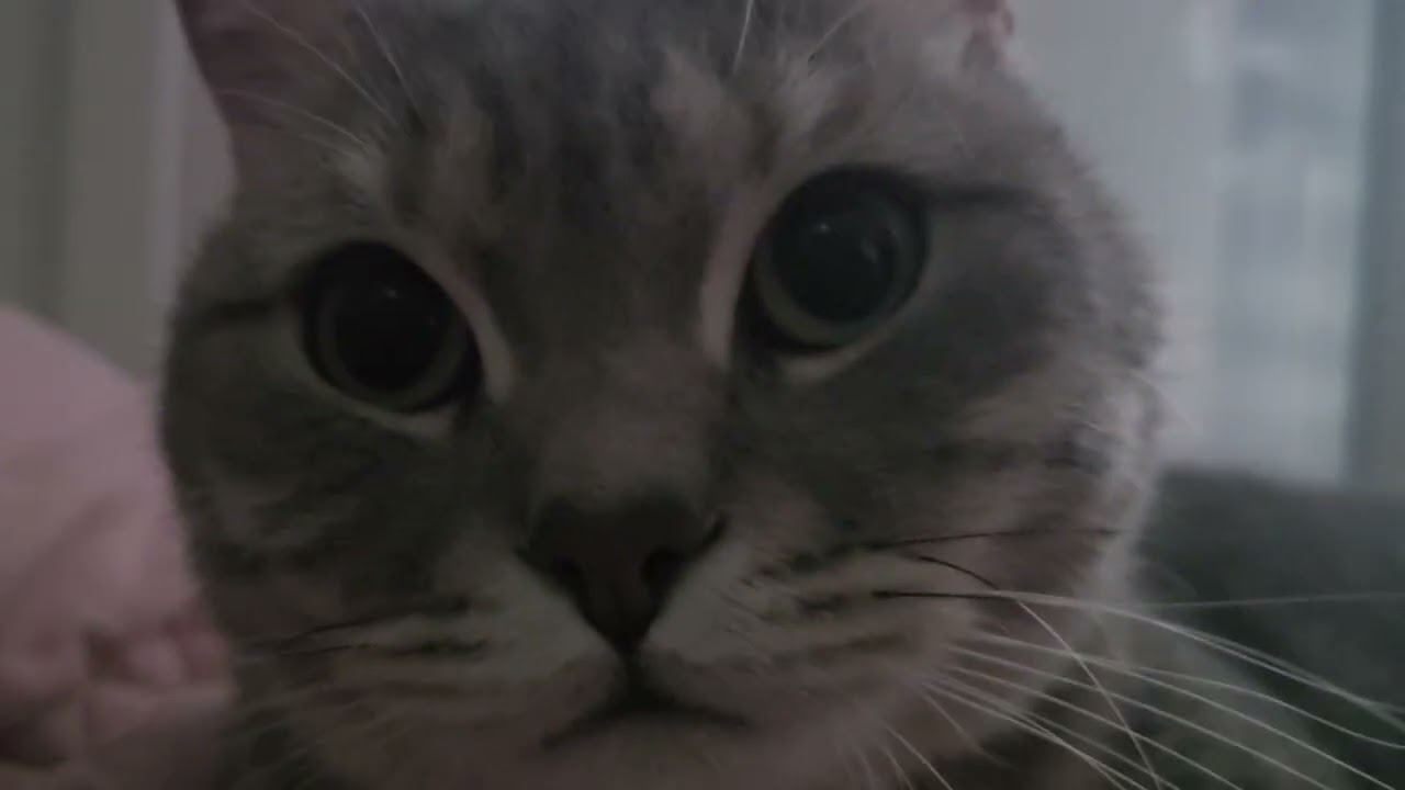 호수