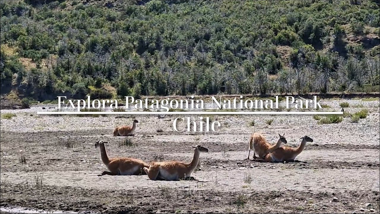 Patagonia National Park and Explora Lodge Review: Luxury Adventure in Chile