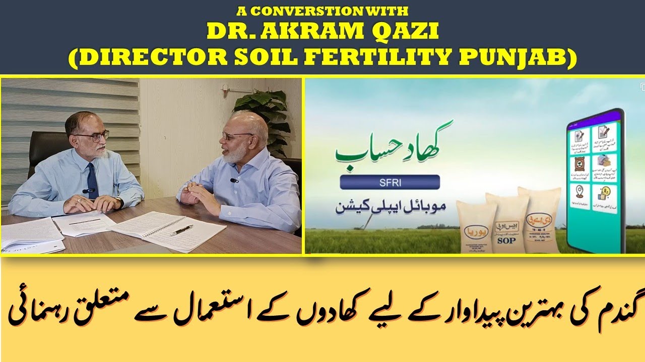 EFFECTIVE FERTILIZER USE FOR WHEAT & KHAAD HISAAB APP | DR. AKRAM QAZI (SOIL FERTILITY DIR., PUNJAB)