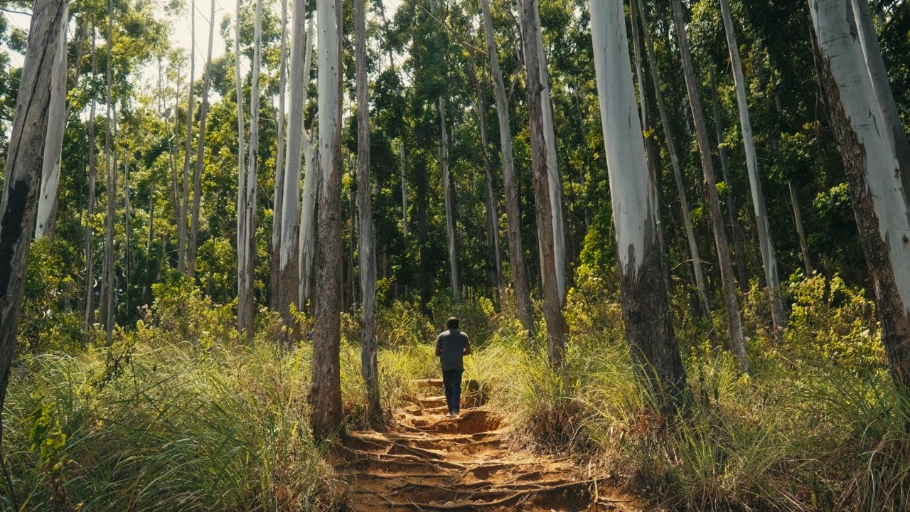 Somewhere Along the Way