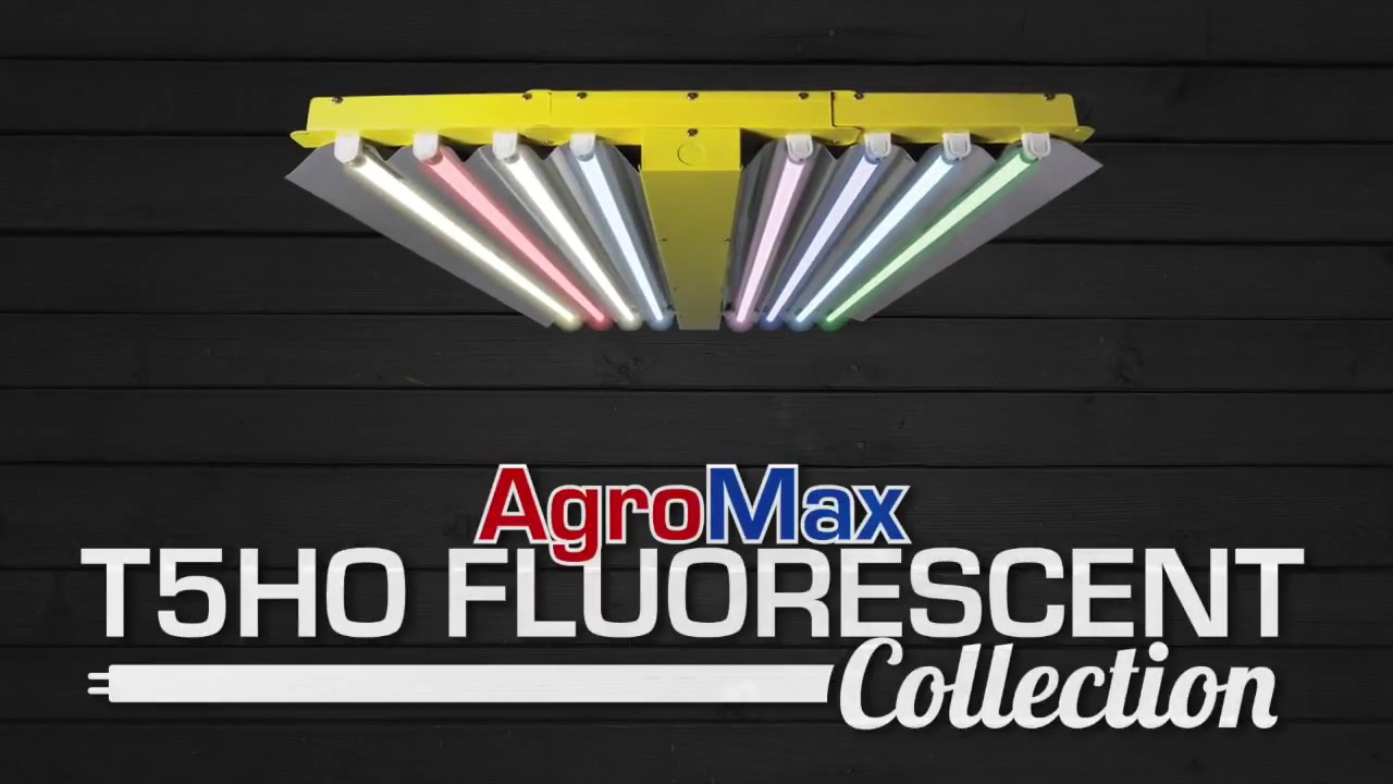 HTGSupply Presents: The AgroMax T5 HO Fluorescent Grow Lights