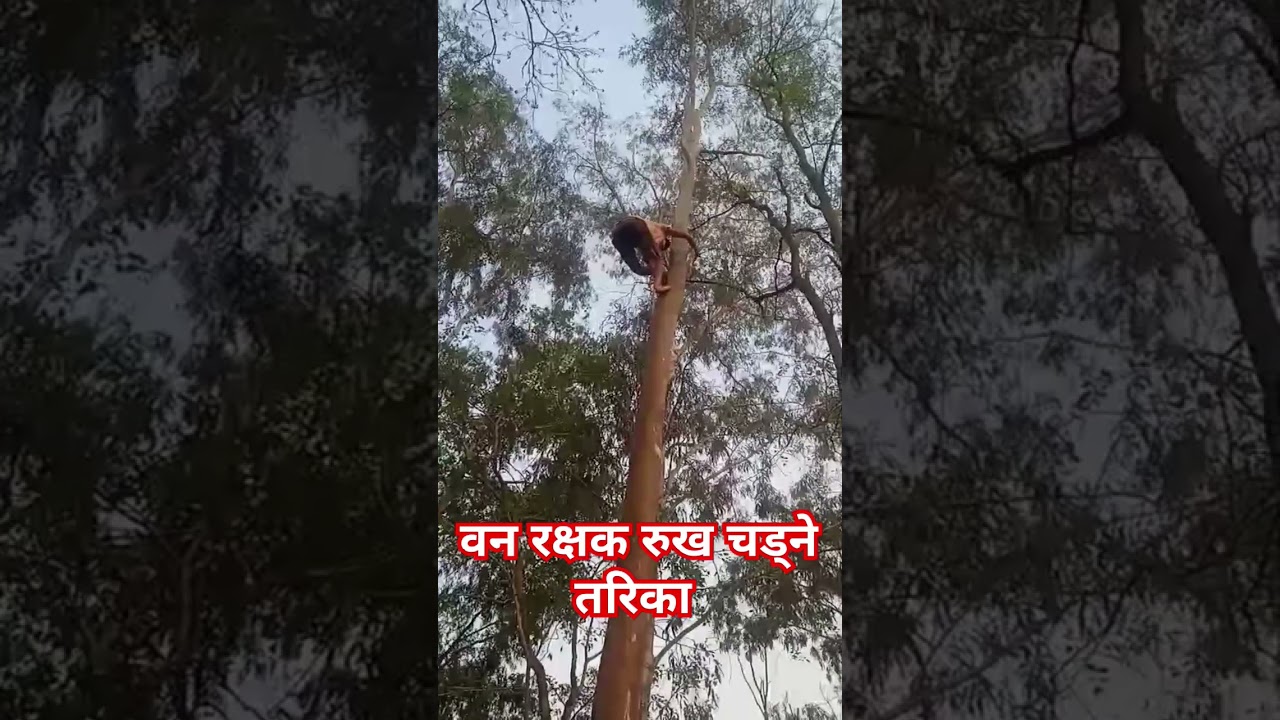#forestguardexam #banrakshak #forestguard
