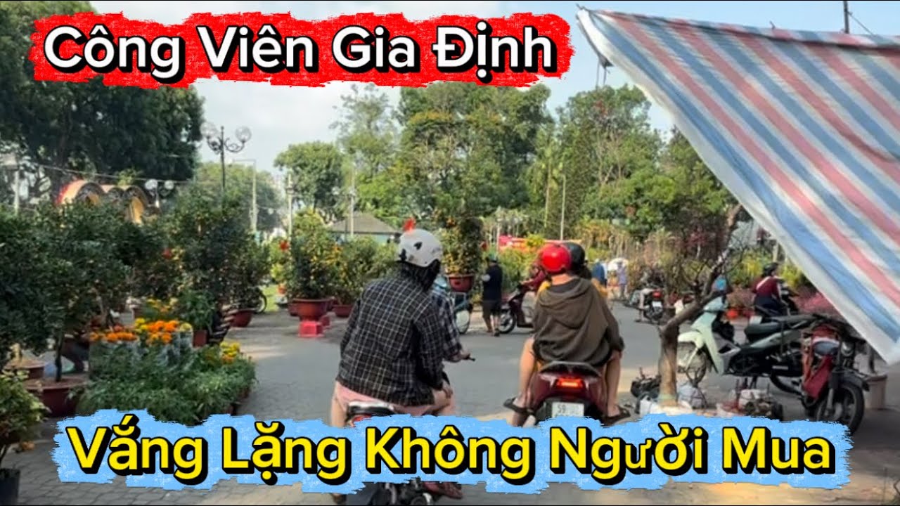 Công Viên Gia Định Người Mua Không Có, Người Xem Cũng Không Thấy #Mai #chohoa