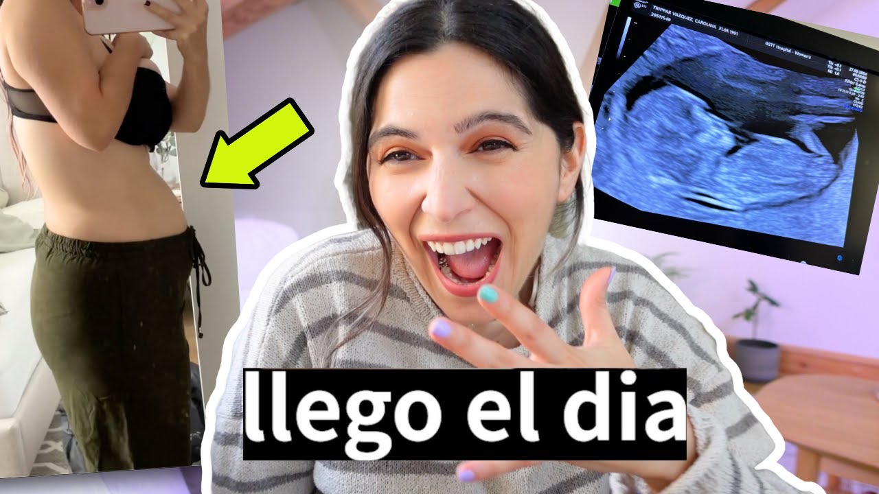 PASE EL PRIMER TRIMESTRE! *SEMANA 10,11 y 12 de Embarazo*