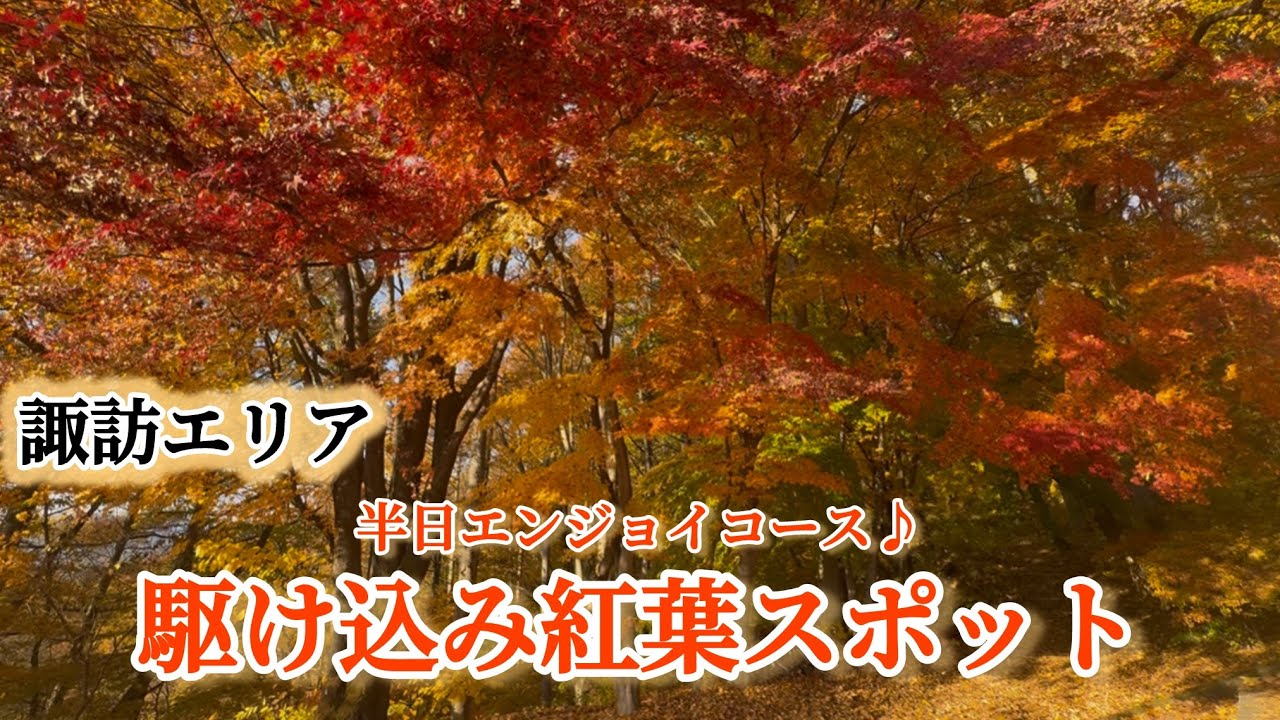 【アニメ映画“君の名は”聖地】長野県諏訪市 立石公園に滑り込みで紅葉堪能してきたよん