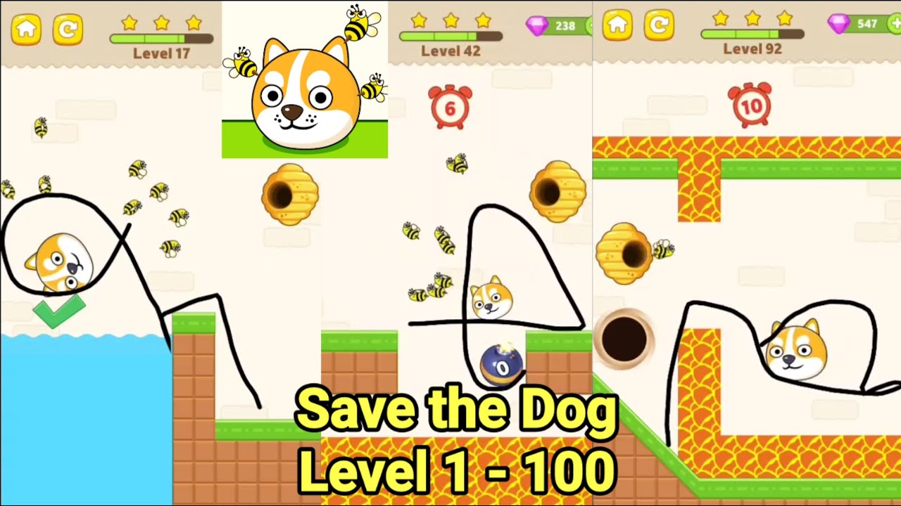 Save the Dog Answers | All Levels | Level 1-100