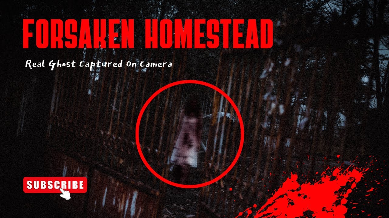 DEMONIC SHADOW FIGURE | The New Reality Paranormal | 4KHD |