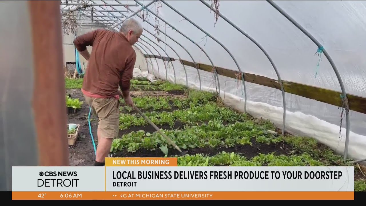 Detroit business delivers fresh produce to your doorstep