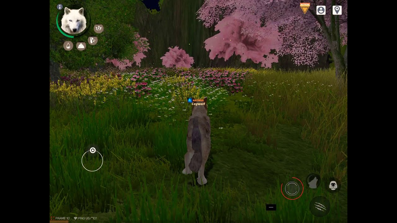 How to glitch the Black Dragon | Wolf Online 2 | 1