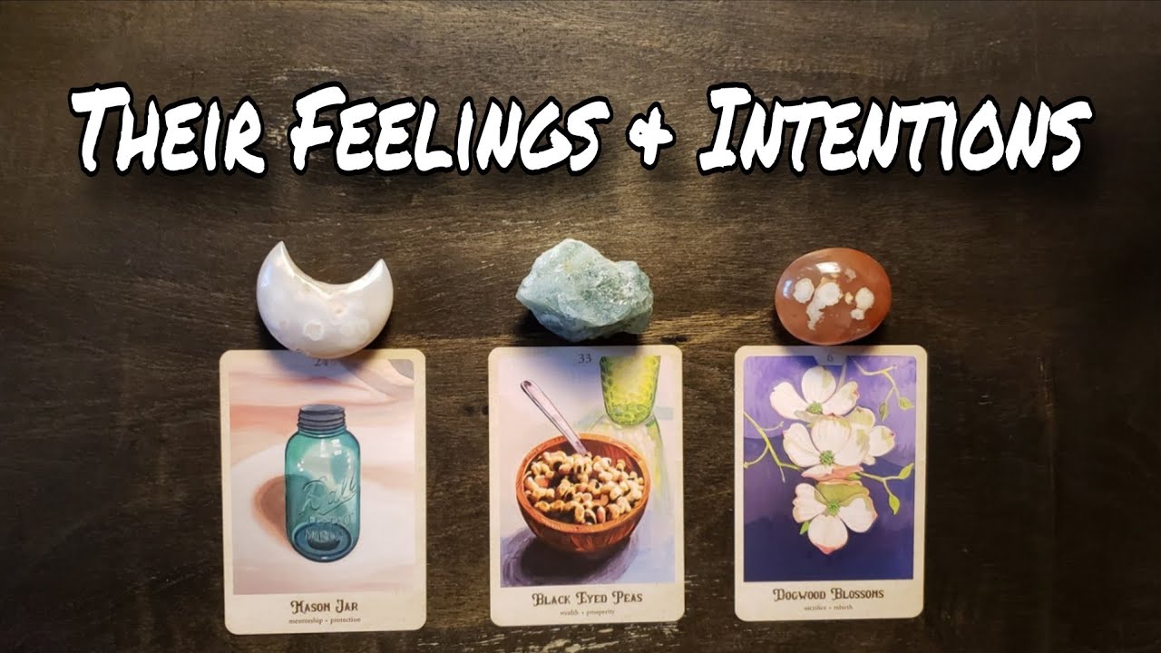 ♥️🌹 What Are Their Feelings  & Intentions? Pick A Card Love Reading