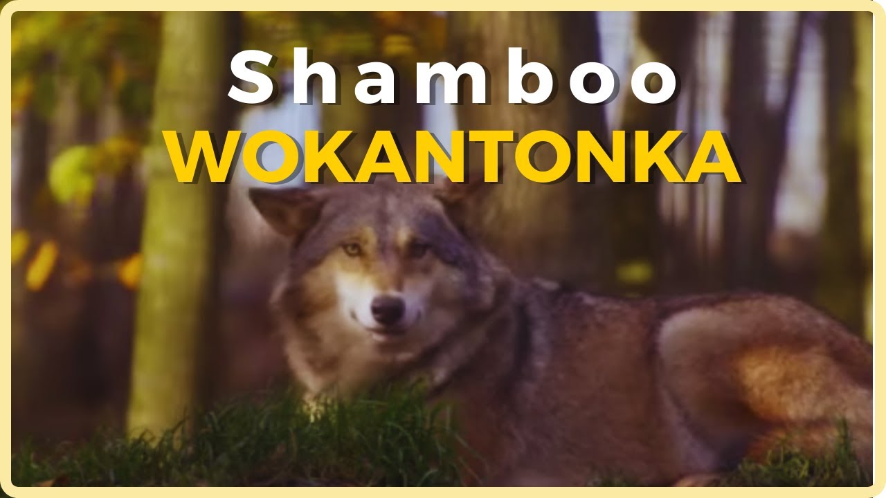 Shamboo Wokantonka: poderoso cerimonial de renovação espiritual com Ayahuasca e música divina
