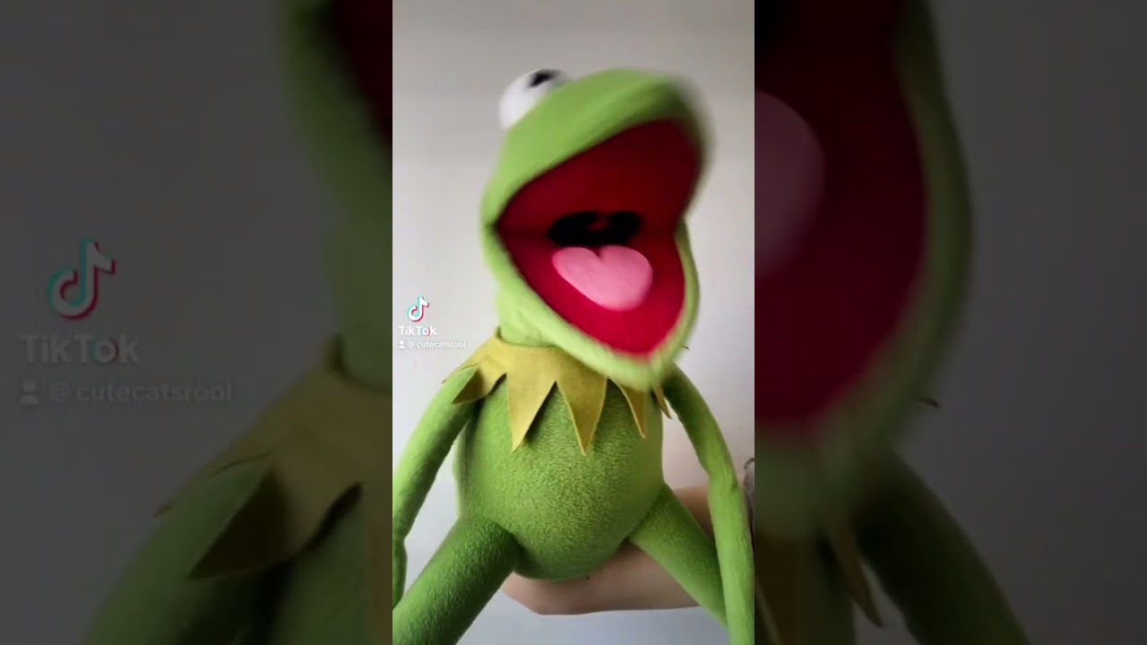 Kermit the frog puppet. Love to be silly 😜