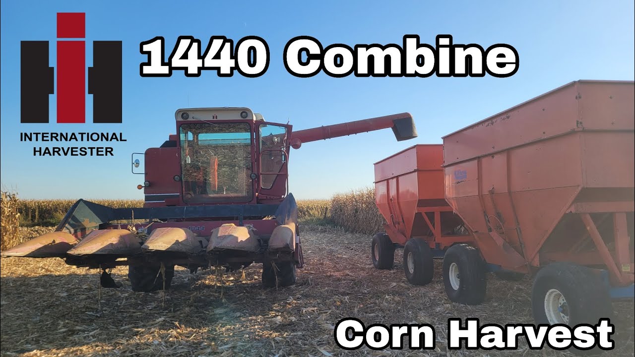 International Harvester 1440 combine in action