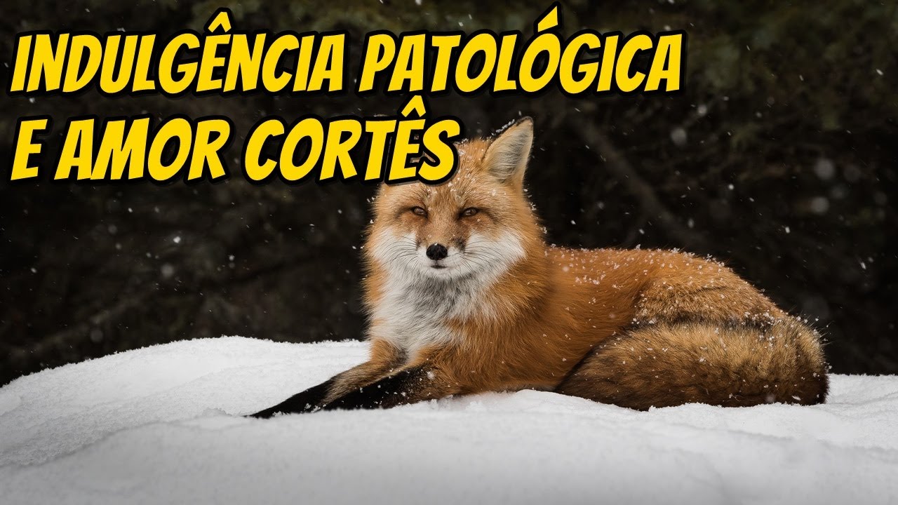 INDULG&Ecirc;NCIA PATOL&Oacute;GICA E AMOR CORT&Ecirc;S - @plaiterpontes