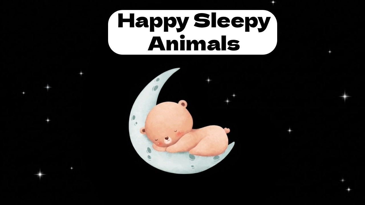 Hey Sleepy Bear | Visual Tracking and Calming Music