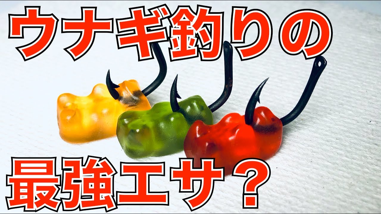 グミキャンディーでウナギを釣る